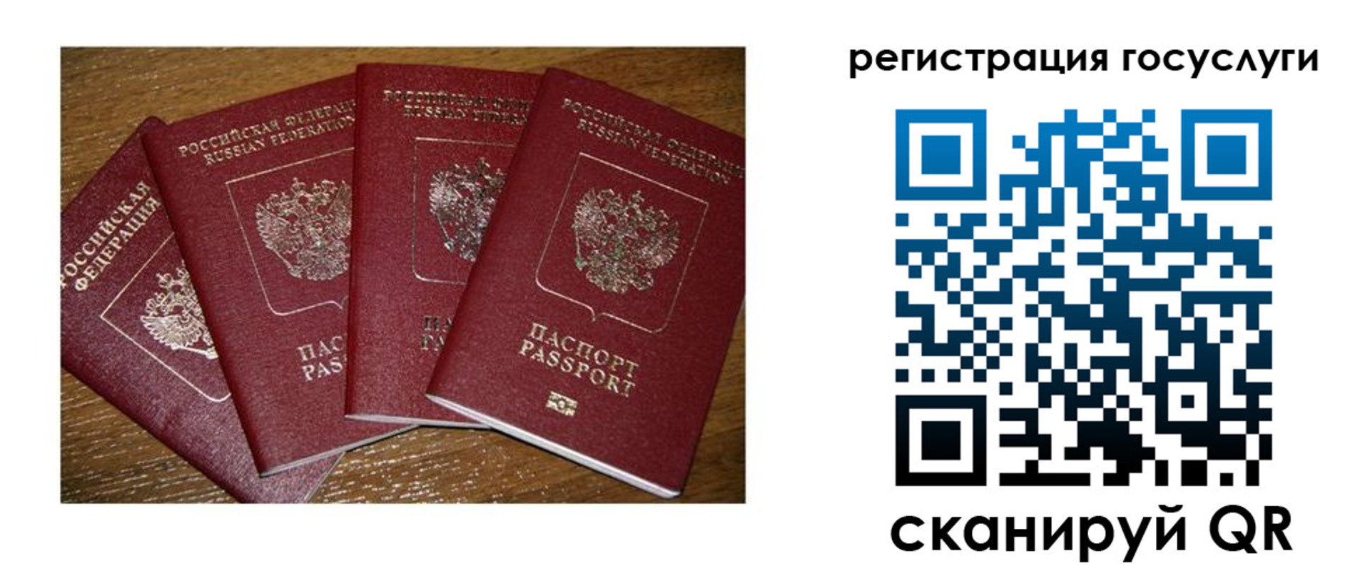 временная регистрация гарантия в Лосино-Петровском